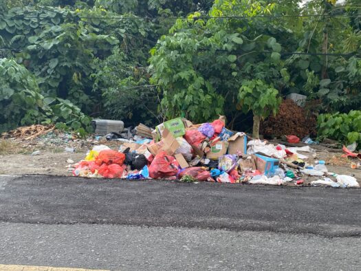 (Tumpukan Sampah di Jalan Raya Desa Babang)